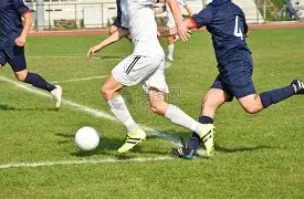 阿森纳,水晶宫赛后,厄德高荣获,立博体育,立博体育官网,立博体育官方,立博体育下载