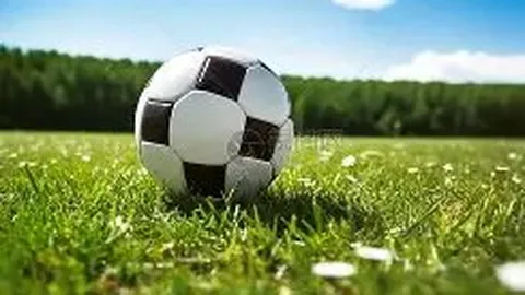 立博体育 产品 082248 q4y