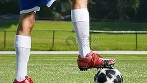 立博体育 产品 142359 vt2