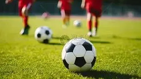 立博体育 产品 142505 mlt