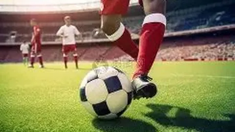 立博体育 产品 143509 6i8