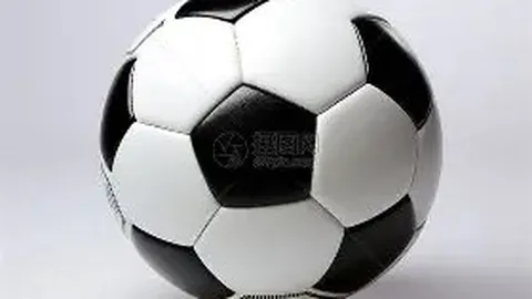 尤文图斯计划先租后买乌迪内斯球员萨马尔季奇