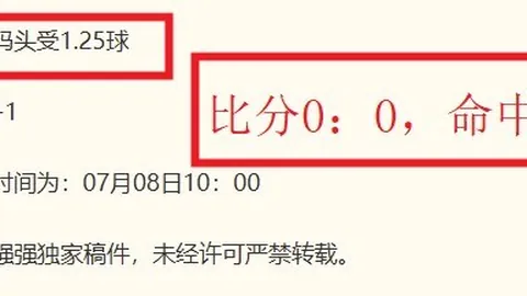 焦点对决：山猫对阵火花，全面解析终极指南